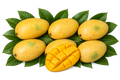 Banganapalli - Ulvapadu (App 3.2kgs)