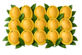 Kesar  (9- 12 pcs)